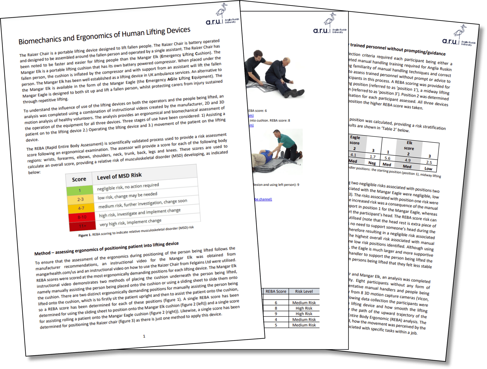 Ergonomic Study - Landing Page Image