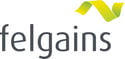 Felgains Logo - Grey no background - no slogan-1