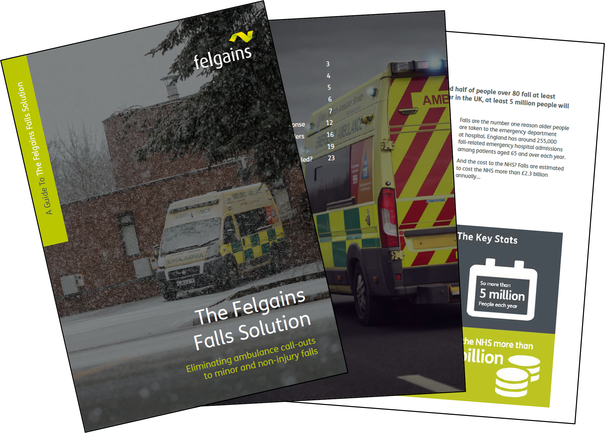 Falls Solution Brochure - Landing Page Image